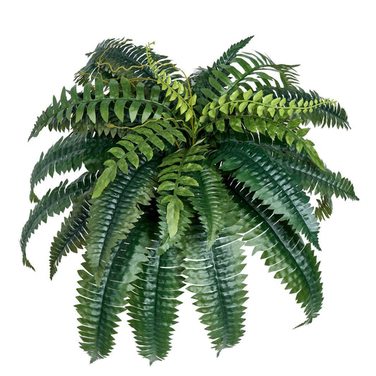 Artificial Boston fern set with lush green foliage for realistic home or office decor