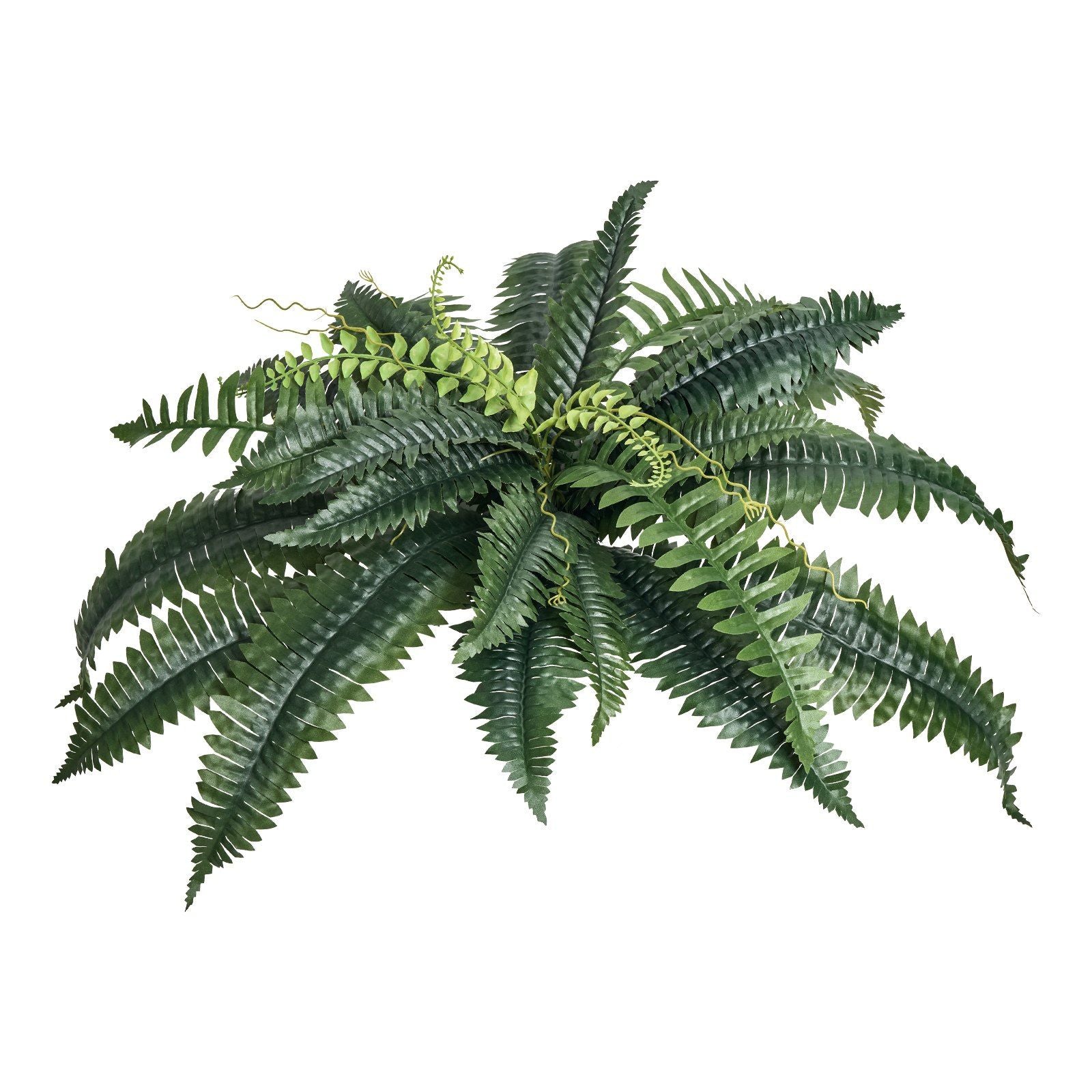 Artificial Boston ferns set with lush green leaves for realistic home and office decor