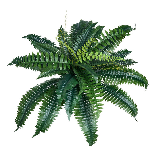 Artificial Boston ferns set with lush green leaves for realistic home or office decoration