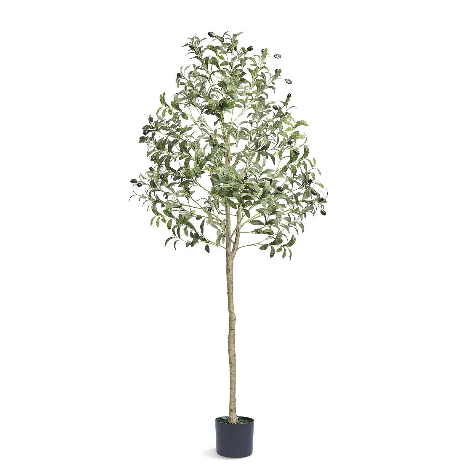 Artificial olive tree 5ft with realistic leaves and olives in a black pot from FauxMart.com